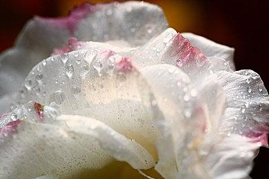 《幸福枪弹辩驳S》登陆PC PS4及手机平台 7月21日上线